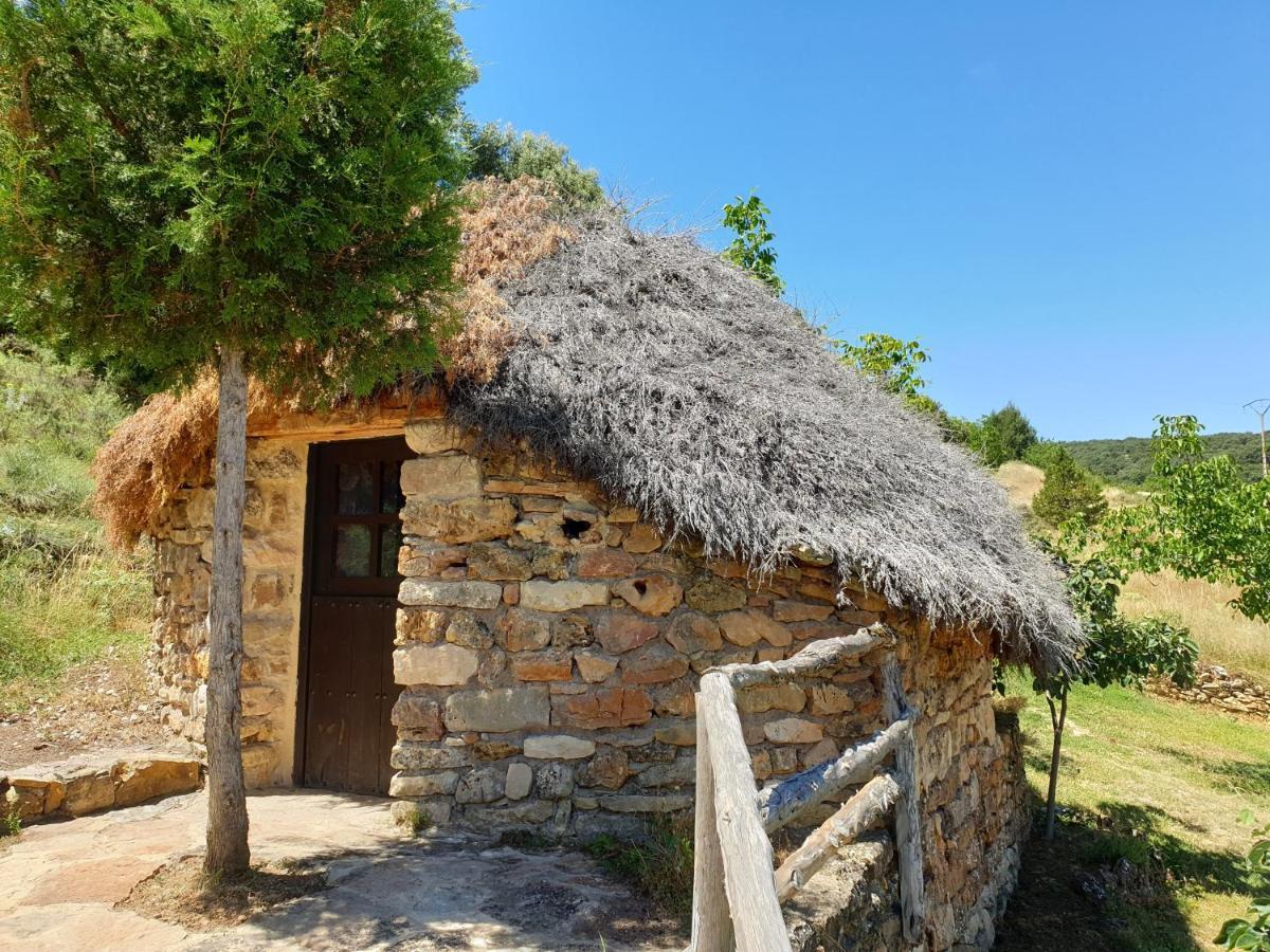 Casa Rural Don Rosendo Olmeda de Cobeta Exterior photo